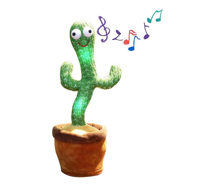 Baby Dancing Cactus