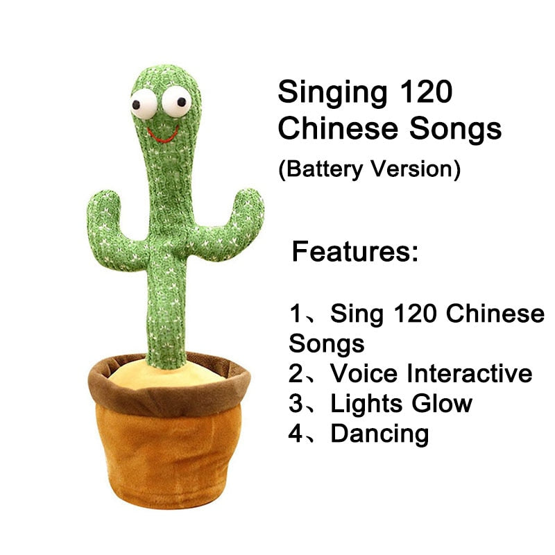 Baby Dancing Cactus