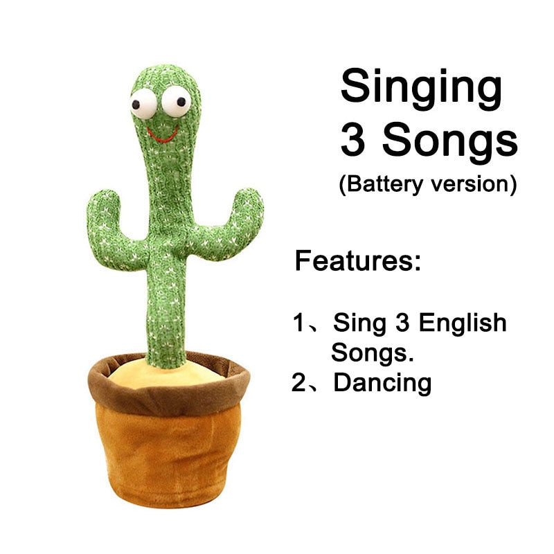 Baby Dancing Cactus