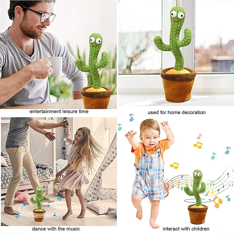 Baby Dancing Cactus